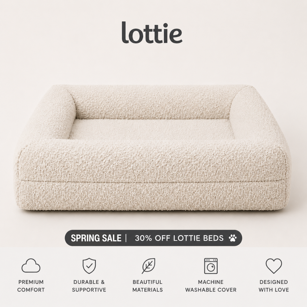 The Last Dog Bed You'll Ever Need