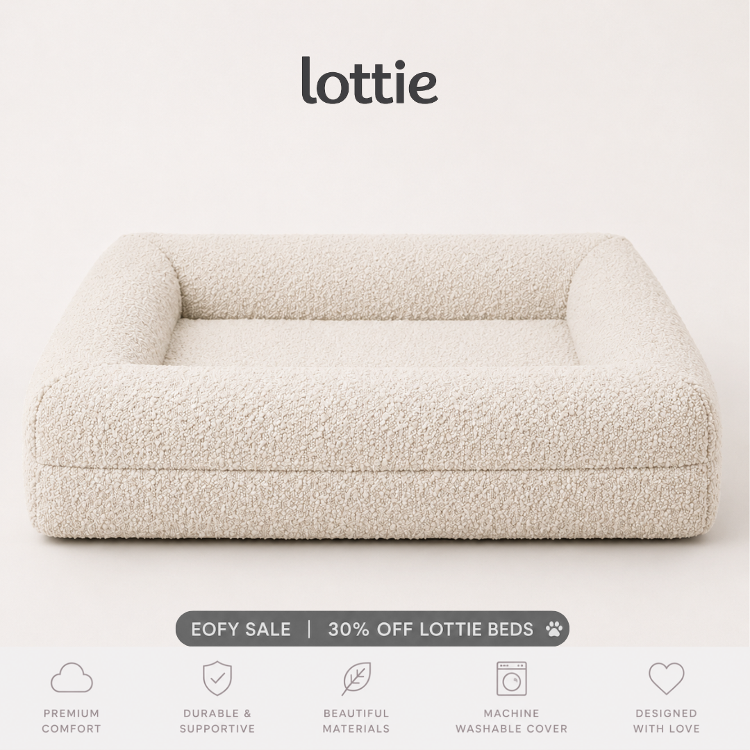 The Last Dog Bed You'll Ever Need