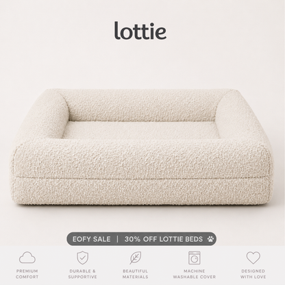 The Last Dog Bed You'll Ever Need