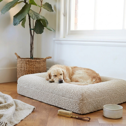 The Last Dog Bed You'll Ever Need